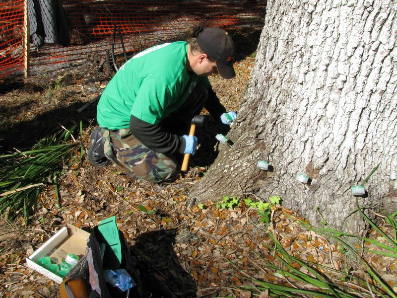 Services by Parkhill Tree and Land Management in Wilson, NY