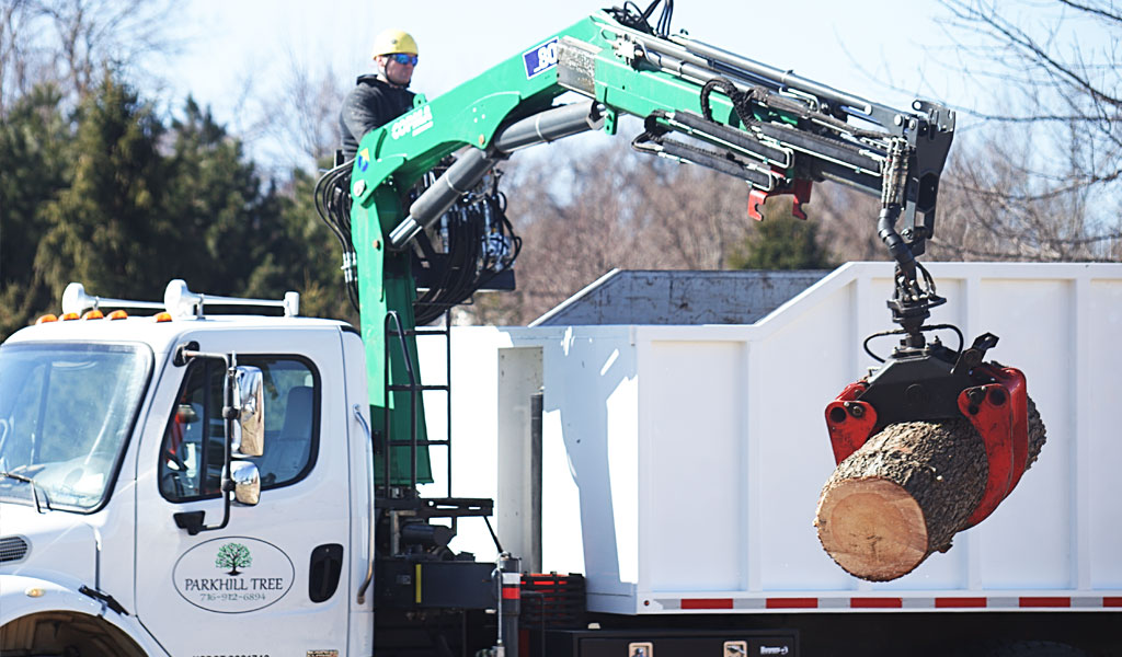 Land and Tree Management Services in Clarence, NY